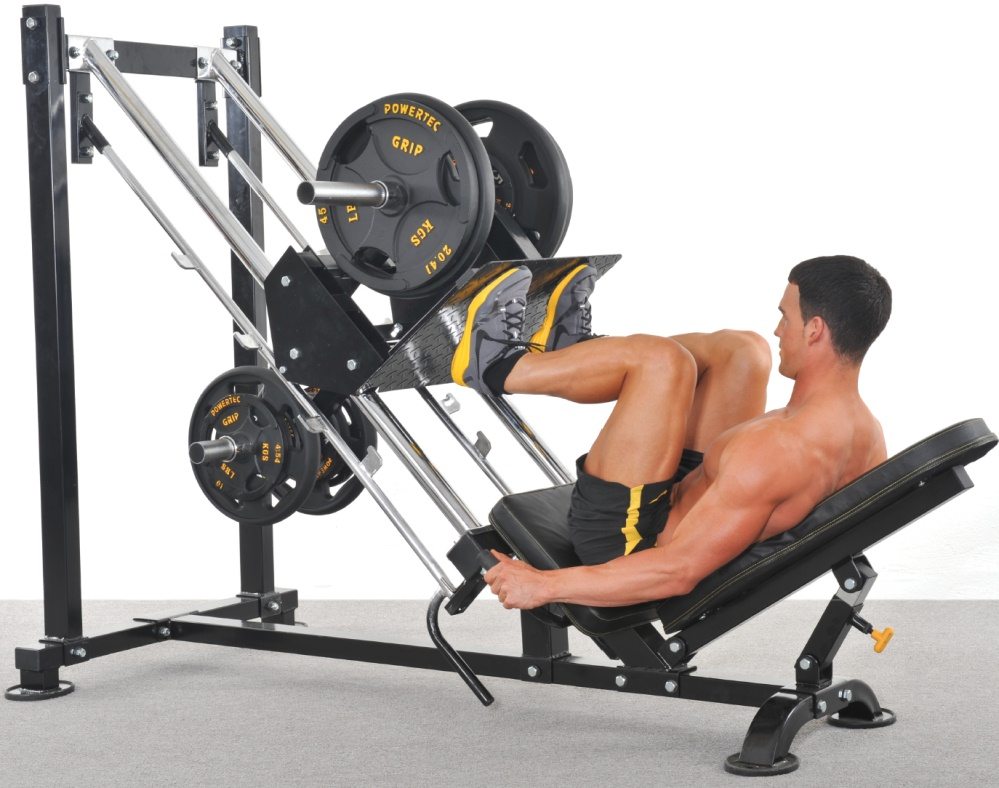 alternatives to squats