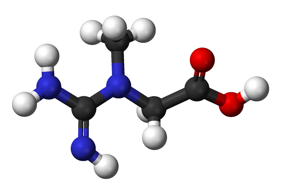 Creatine: What is it, and Does it Work?