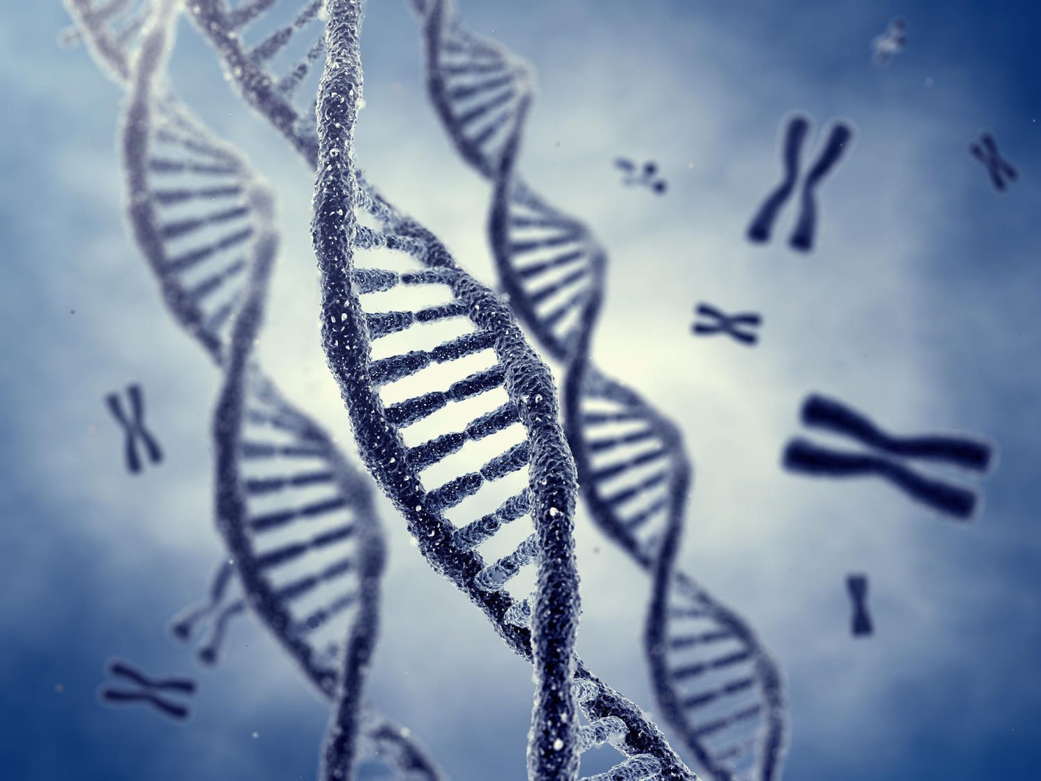 genetics: The hand you're dealt