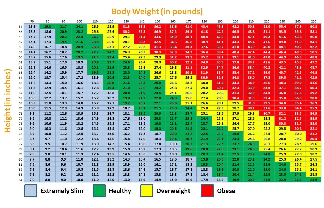 body mass index calculator for adult male