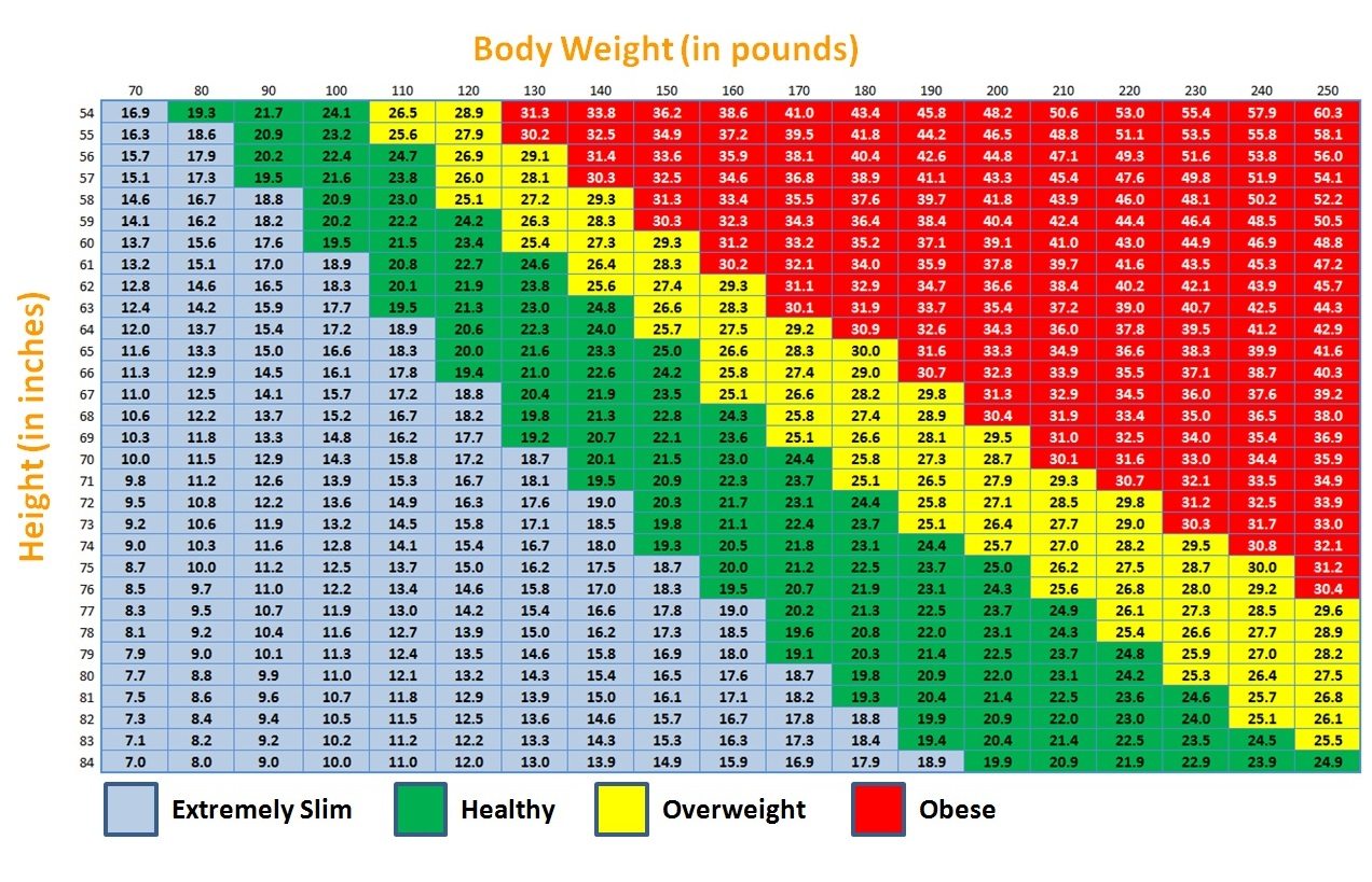 Ideal Bmi Chart For