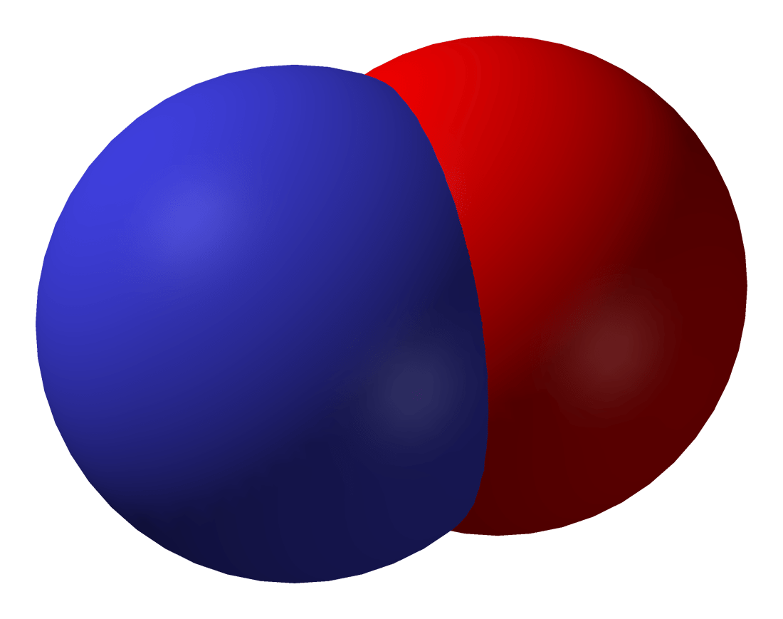 Nitric Oxide Supplements: Should You Use Them?