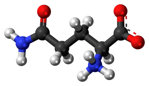 BCAA: What are Branch Chain Amino Acids & Why Do They Matter?