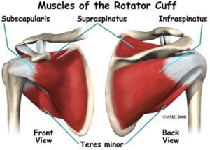 rotator cuff exercises