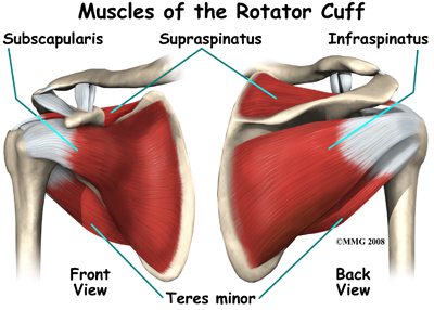Rotator Cuff Exercises: Strengthening and Repair