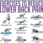 exercises for low back pain