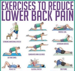 exercises for low back pain