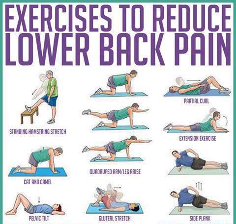 exercises for low back pain
