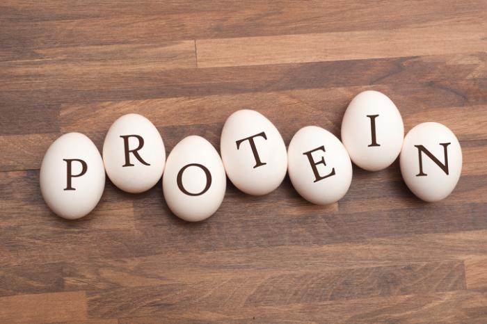 how much protein is too much