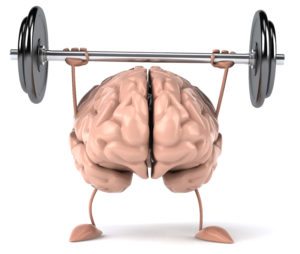 exercise and the brain