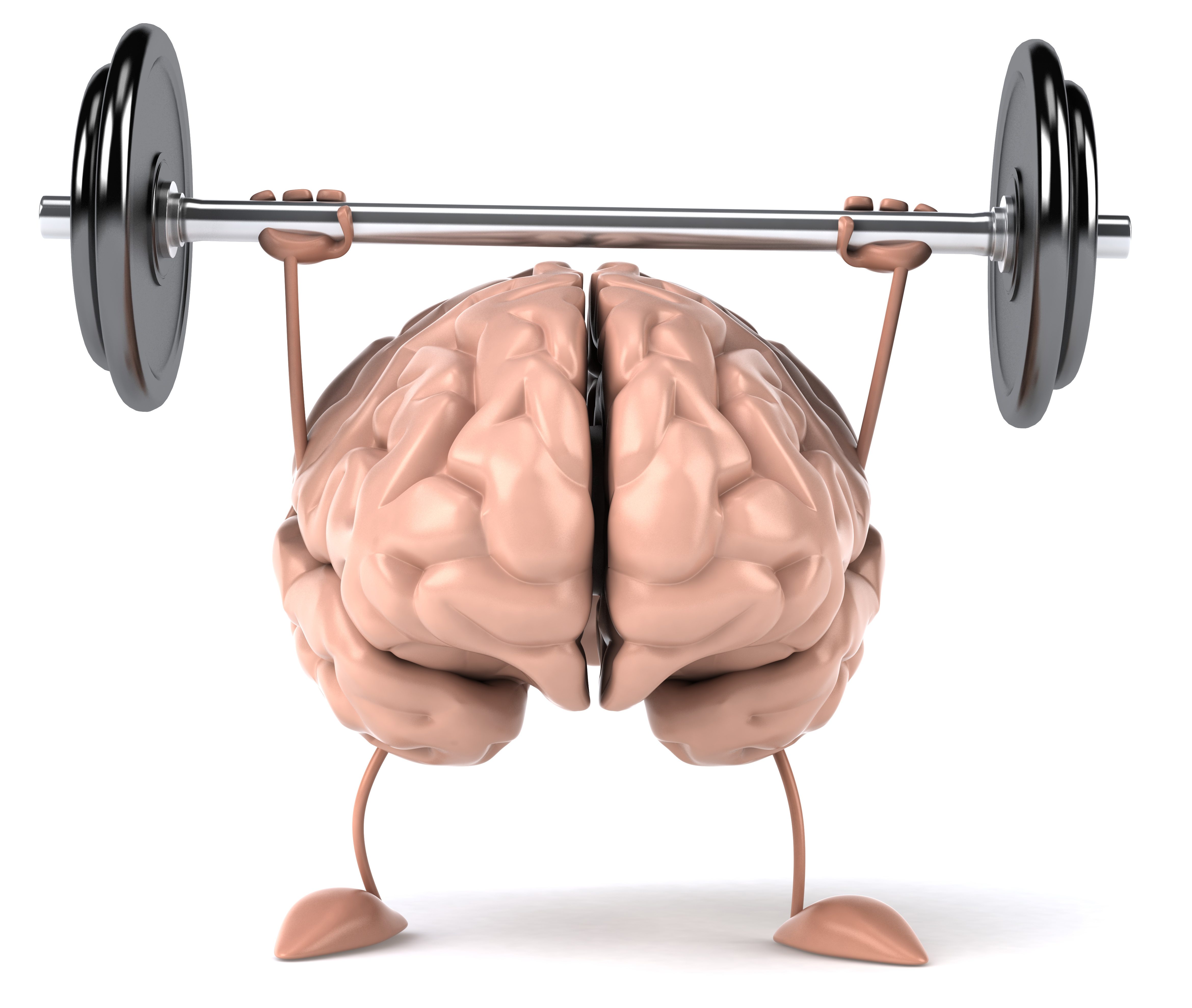 Exercise and the Brain: The New Correlations 
