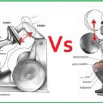 the difference between leg press and squats