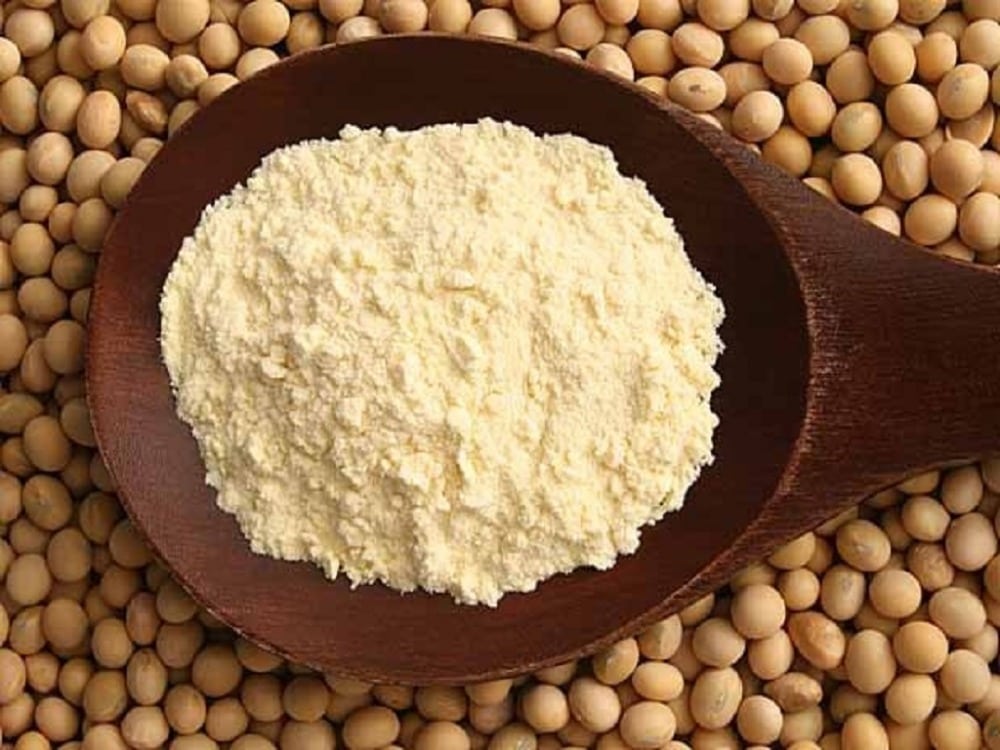 soy protein