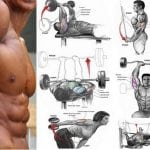 the best tricep exercises