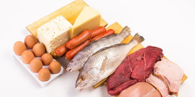 protein for weight loss